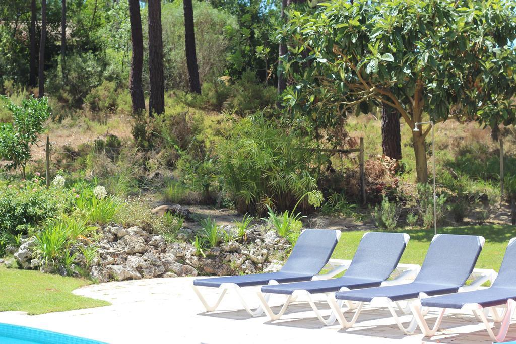 Aroeira Villa Near Lisbon- Daydream Pt 沙尔内卡 外观 照片